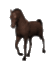 cavallo marrone cammina.gif